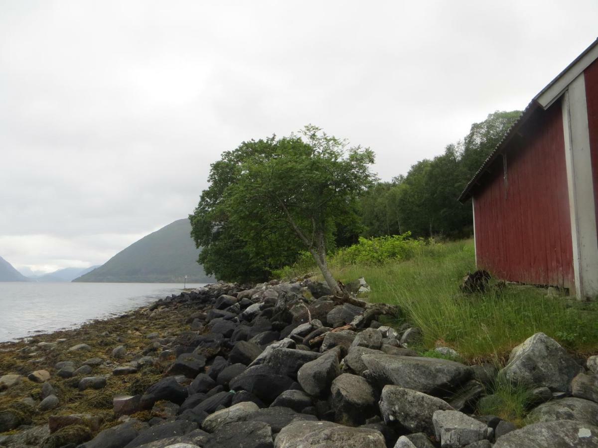 Tiny House With Fjordview! Villa Lauvstad Kültér fotó