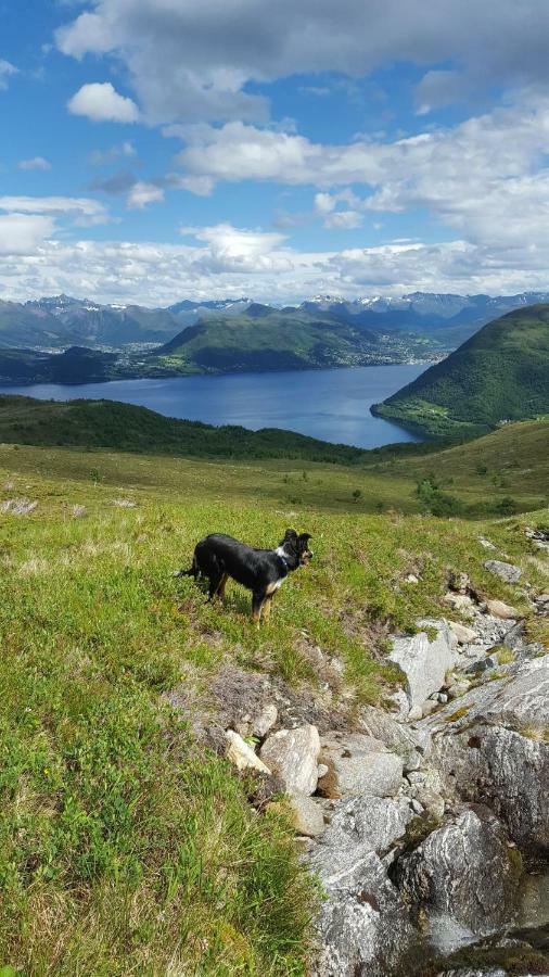 Tiny House With Fjordview! Villa Lauvstad Kültér fotó